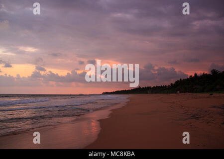 Tramonto spettacolare su una bellissima spiaggia a Bentota, Sri Lanka Foto Stock