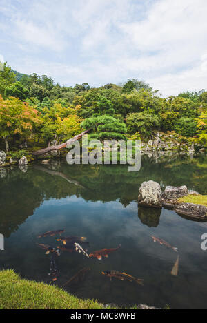 Vita giapponese, paesaggi e templi foto: Alessandro Bosio/Alamy Foto Stock