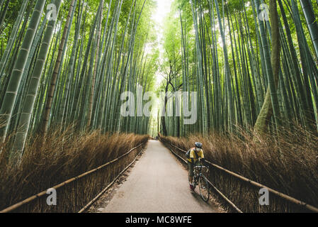 Vita giapponese, paesaggi e templi foto: Alessandro Bosio/Alamy Foto Stock