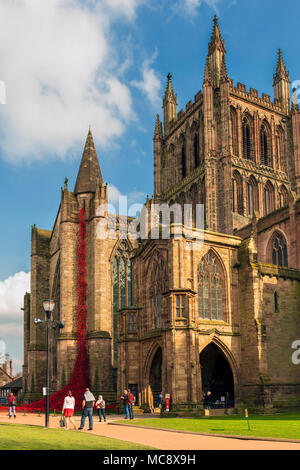 Cattedrale di Hereford papaveri finestra piangendo scultura, UK. Foto Stock