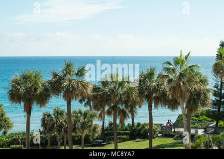 La vista tropicale dell'Oceano Atlantico con palme presso il resort in Deerfield Beach Foto Stock