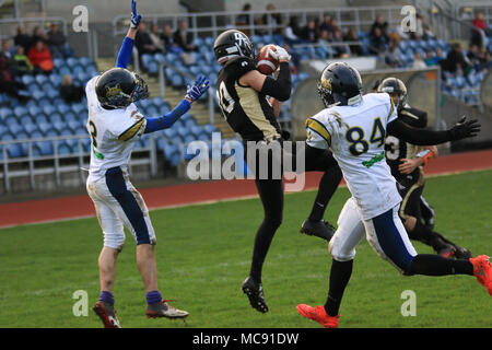 Il 14 aprile 2018 , South Leeds Stadium, Leeds, West Yorkshire, Inghilterra; BAFA nazionale della Lega Nord, Yorkshire Rams v Leeds Bobcats; Christian Davies del Foto Stock