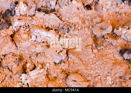 Carbone di legna a creative texture e pattern per la progettazione e la decorazione di isolare su sfondo close up Foto Stock