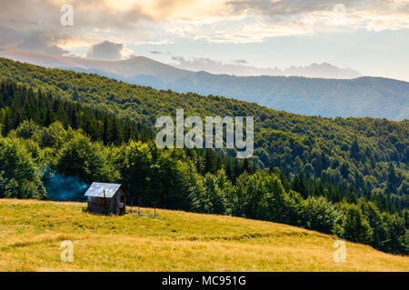 Pascoli e sparso sulle pendici della collina. incantevole paesaggio estivo di montagna Carpatian Foto Stock