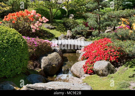 Flusso di piccole dimensioni con un ponte in un giardino giapponese Foto Stock