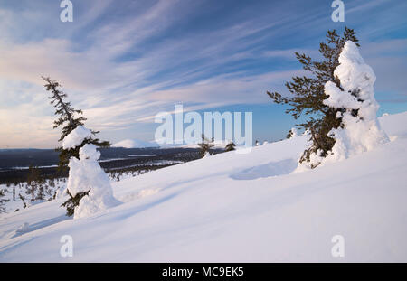 Fells in Lapponia finlandese. Muonio in Finlandia Foto Stock