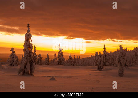 Scena da Olostunturi cadde in Muonio, Lapponia, Finlandia Foto Stock