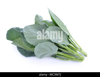 Broccoli cinesi isolati su sfondo bianco Foto Stock