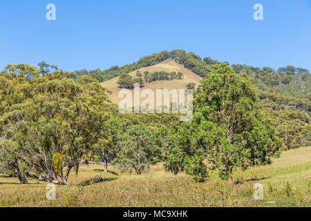 Vista di alberi e colline in alto Hunter, NSW, Austrlai. Marzo 6, 2016. Foto Stock