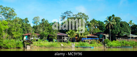 Fiume Kinabatangan, Borneo Malaysia Foto Stock