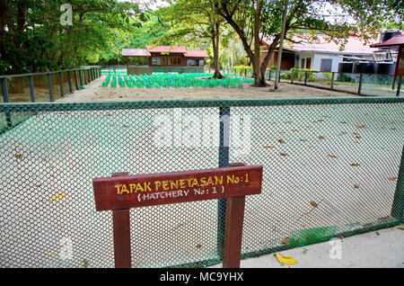 Turtle Hatchery su Selingan island Foto Stock