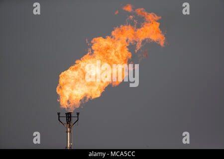 Un tubo di gas sfiati gas non necessari da un campo petrolifero in Eagle Ford shale giocare in McMullin County, a sud di San Antonio, Texas. Foto Stock