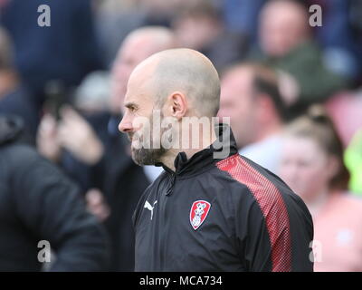 Wigan, Greater Manchester, Regno Unito. Il 14 aprile, 2018. Paolo Warne manager di Rotherham uniti in piroga davanti al gioco. Credito: Simon Newbury/Alamy Live News Foto Stock