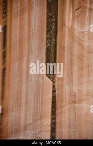 Vernice del deserto su pietra arenaria Navajo vicino al polpaccio inferiore Creek Falls in grande scala/Escalante National Monument, Utah Foto Stock