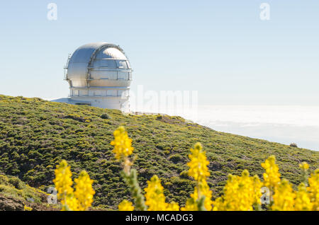 Grantecan (gran telescopio de Canarias) in Osservatorio di Roque de los Muchachos a La Palma, Canarie, in primavera con il blu del cielo. Foto Stock