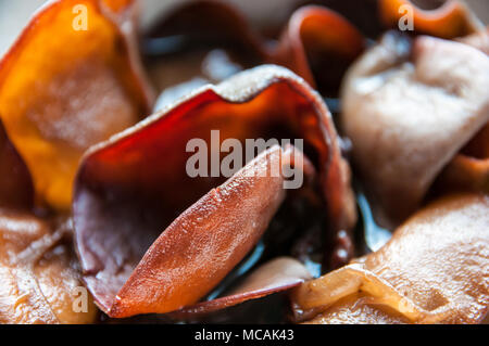 Padiglione auricolare auricularia-judae, Giuda alias orecchio immerso in acqua in una ciotola, vista da vicino Foto Stock