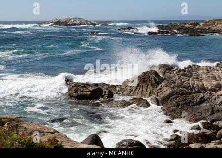 17-Mile Drive, strada panoramica attraverso Monterey, California Foto Stock