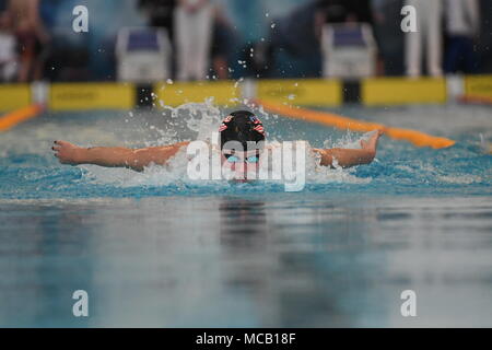 Bergen, Norvegia . Xv Apr, 2018. Bergen, Norvegia. Xv Apr, 2018. Sarah Sjöström della Svezia la frantumazione di campo, nuoto 56.98 nell'prelims ad un miglior tempo in finale al più tardi oggi al womes 100 butterfly. Credito: Kjell Eirik Irgens Henanger/Alamy Live News Credito: Kjell Eirik Irgens Henanger/Alamy Live News Foto Stock