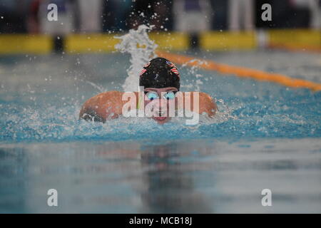 Bergen, Norvegia . Xv Apr, 2018. Bergen, Norvegia. Xv Apr, 2018. Sarah Sjöström della Svezia la frantumazione di campo, nuoto 56.98 nell'prelims ad un miglior tempo in finale al più tardi oggi al womes 100 butterfly. Credito: Kjell Eirik Irgens Henanger/Alamy Live News Credito: Kjell Eirik Irgens Henanger/Alamy Live News Foto Stock