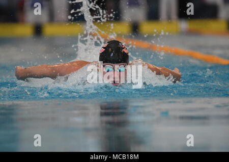 Bergen, Norvegia . Xv Apr, 2018. Bergen, Norvegia. Xv Apr, 2018. Sarah Sjöström della Svezia la frantumazione di campo, nuoto 56.98 nell'prelims ad un miglior tempo in finale al più tardi oggi al womes 100 butterfly. Credito: Kjell Eirik Irgens Henanger/Alamy Live News Credito: Kjell Eirik Irgens Henanger/Alamy Live News Foto Stock