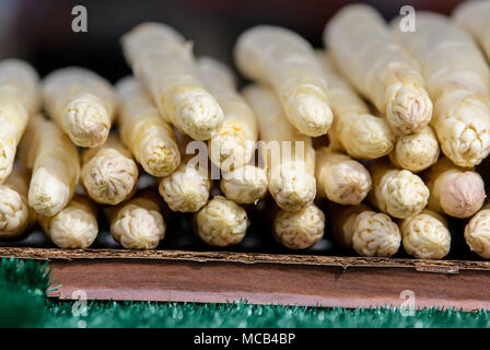 12 aprile 2018, Germania, Monaco di Baviera: asparagi è in vendita su un mercato stand della Viktualenmarkt. Foto: Matthias esitano di fronte/dpa Foto Stock