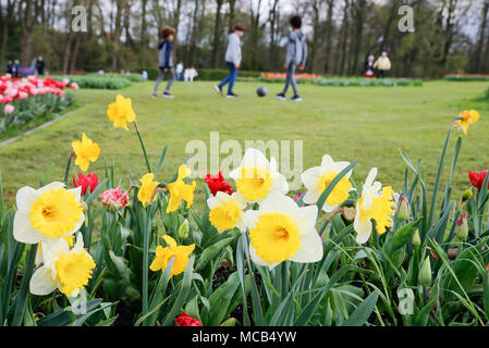 Bruxelles, Belgio. Xv Apr, 2018. Le persone godono di fiori a Groot-Bijgaarden castello nel sobborgo di Bruxelles, Belgio, 15 aprile 2018. Il castello, che è piantato da oltre 1,7 milioni di piante di fiori, sarà aperta al pubblico dal 6 Aprile al 6 maggio. Credito: Voi Pingfan/Xinhua/Alamy Live News Foto Stock