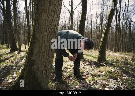 03 aprile 2018, Germania, Werneck: Ralf Petercord, capo della protezione della foresta dipartimento di Stato Bavarese Istituto di selvicoltura, ispeziona un albero di quercia per Gypsy Moth uova. Quest'anno, alberi di quercia in parti dello stato tedesco della Baviera si trovano di fronte a un pericolo acuto da gypsy falene. Foto: Nicolas Armer/dpa Foto Stock