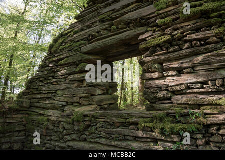 Vecchio rudere di pietra a Coed Cae Fali vicino Penrhyndeudraeth, Snowdonia, Galles del Nord, Regno Unito. Foto Stock