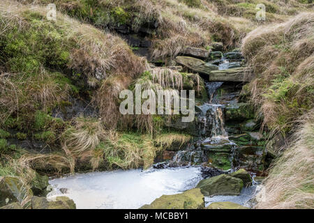 Un flusso che fluisce oltre il gritstone rocce di una piccola cascata sulla brughiera, Kinder Scout, Derbyshire, Peak District, England, Regno Unito Foto Stock