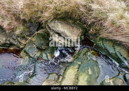 Un flusso che fluisce oltre il gritstone rocce di una piccola cascata visto da sopra, Kinder Scout, Derbyshire, Peak District, England, Regno Unito Foto Stock