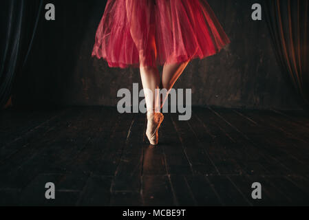 Femmina ballerina gambe in pointes Foto Stock