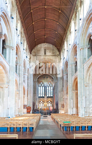 Interno navata del decimo secolo Romsey Abbey, Romsey, Hampshire, Inghilterra, Regno Unito Foto Stock