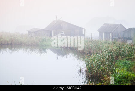 Mattinata nebbiosa su un lago costa, Russo paesaggio rurale Foto Stock
