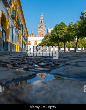 Patio de Banderas, vista la Giralda, ex minareto, il campanile della cattedrale di Sevilla, Catedral de Santa Maria de la Foto Stock