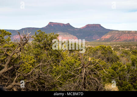 Porta le orecchie Buttes nella porta orecchie monumento nazionale nel sud dello Utah, Stati Uniti Foto Stock