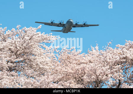 Una forza aerea C-130J Super Hercules assegnato alla XXXVI Airlift Squadron vola sopra Yokota Air Base, Giappone, durante una missione di addestramento, 30 marzo 2018. Gli alberi di Sakura fiorì a Yokota otto giorni prima che lo scorso anno. Foto Stock