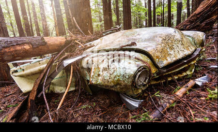 Un classico abbandonati veicolo ruggini in una regione del nord della California foresta. Foto Stock