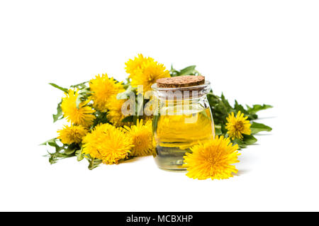 Fiori di tarassaco e olio essenziale isolati su sfondo bianco Foto Stock