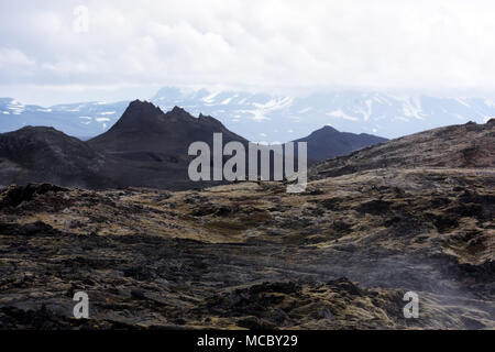 Lave campo nella valle geotermale Foto Stock