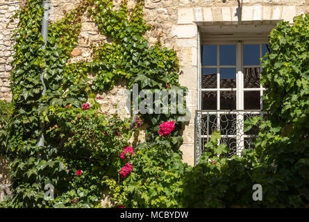 Old tenement house ricoperta di edera in Sault, dipartimento di Vaucluse nella regione della Provenza, Francia Foto Stock