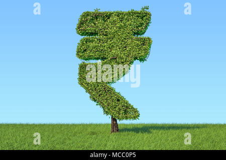 Money Tree nella forma del rupee simbolo sull'erba verde contro il cielo blu, rendering 3D Foto Stock