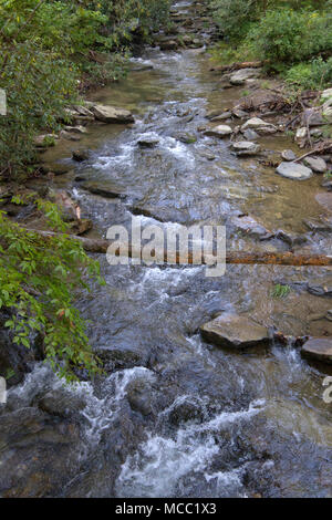 Un roccioso, scenic ruscello di montagna su Catawba Falls Trail in Western North Carolina corre off in una foresta di alberi decidui e rhododendrum in estate Foto Stock