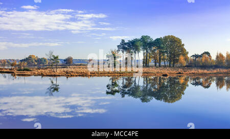 Paludi basse tranquillo con le nubi riflessi nell'acqua, Turnhout, Belgio Foto Stock