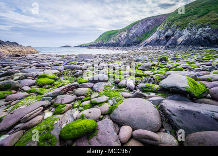 Caer Bwdy Bay View al tramonto vicino alla spiaggia Caerfai West Wales UK. Foto Stock