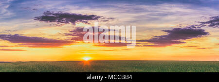 Estate sole che splende oltre il paesaggio agricolo del verde Campo di grano. Panorama Vista Panoramica di Scenic Estate colorato cielo drammatico nel tramonto Alba Sun Foto Stock