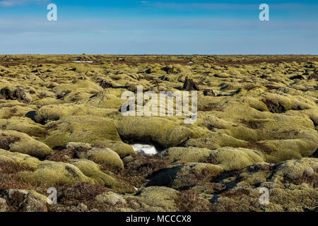 Moss-coperta di lava di Eldhraun campo di lava, che è stata versata nel corso del Laki, aka Lakagígar, eruzione del 1783 dal vulcano Grímsvota, che Foto Stock