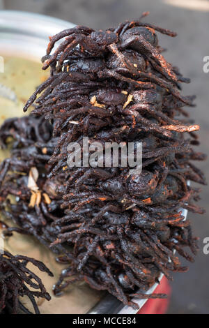 Ragni fritto per la vendita in strada bancarelle in Cambogia Foto Stock