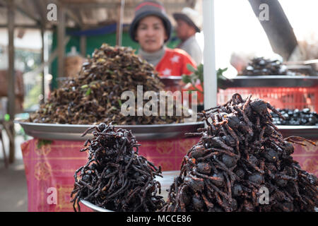 Ragni fritto per la vendita in strada bancarelle in Cambogia Foto Stock