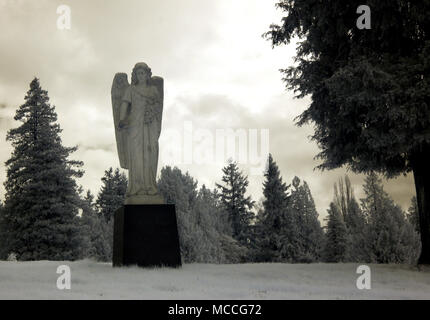 Statua di angelo sul prato di un cimitero nel nord di Seattle, Washington. Immagine infrarossa. Foto Stock