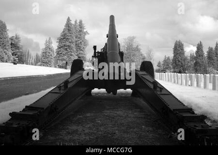 Vista di un cannone di seduta sul bordo della Veterans Memorial Cemetery sito nel nord di Seattle, Washington Foto Stock